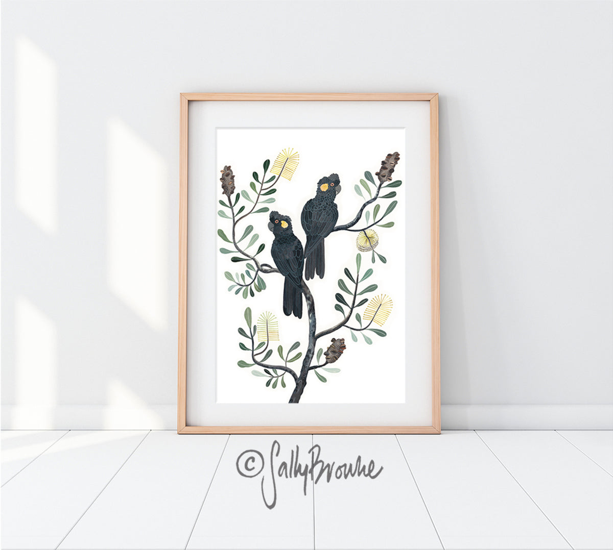 Black Cockatoos and Coastal Banksia