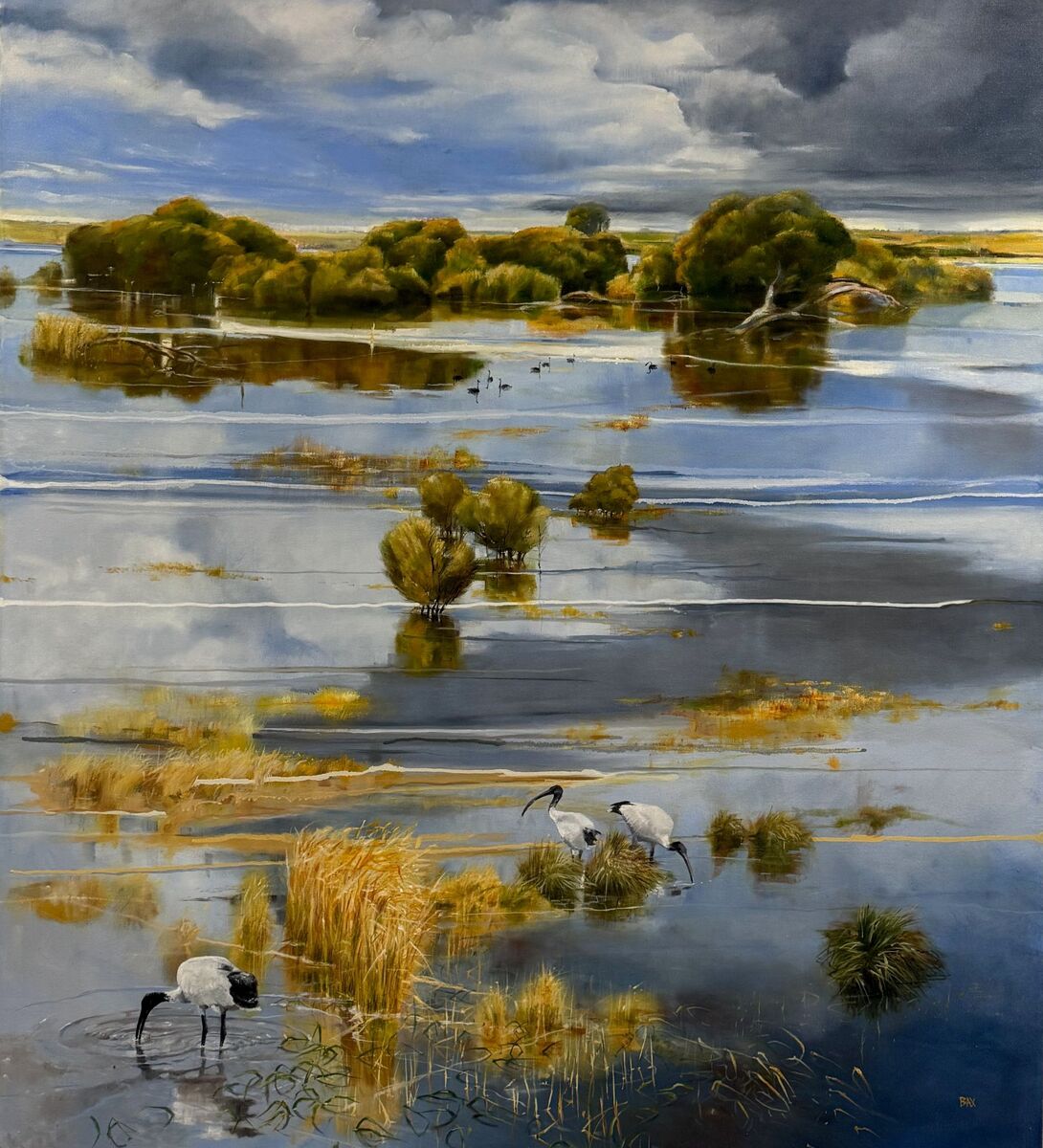 Landscape Wetlands Conversation Oil on canvas