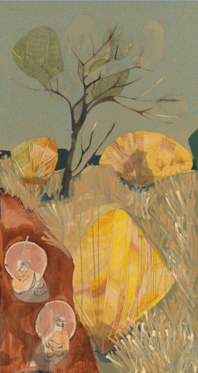 The Light of The Sun, The Rays of The Moon, Crested Pigeons On Bush Sunset Walk Near Kings Canyon