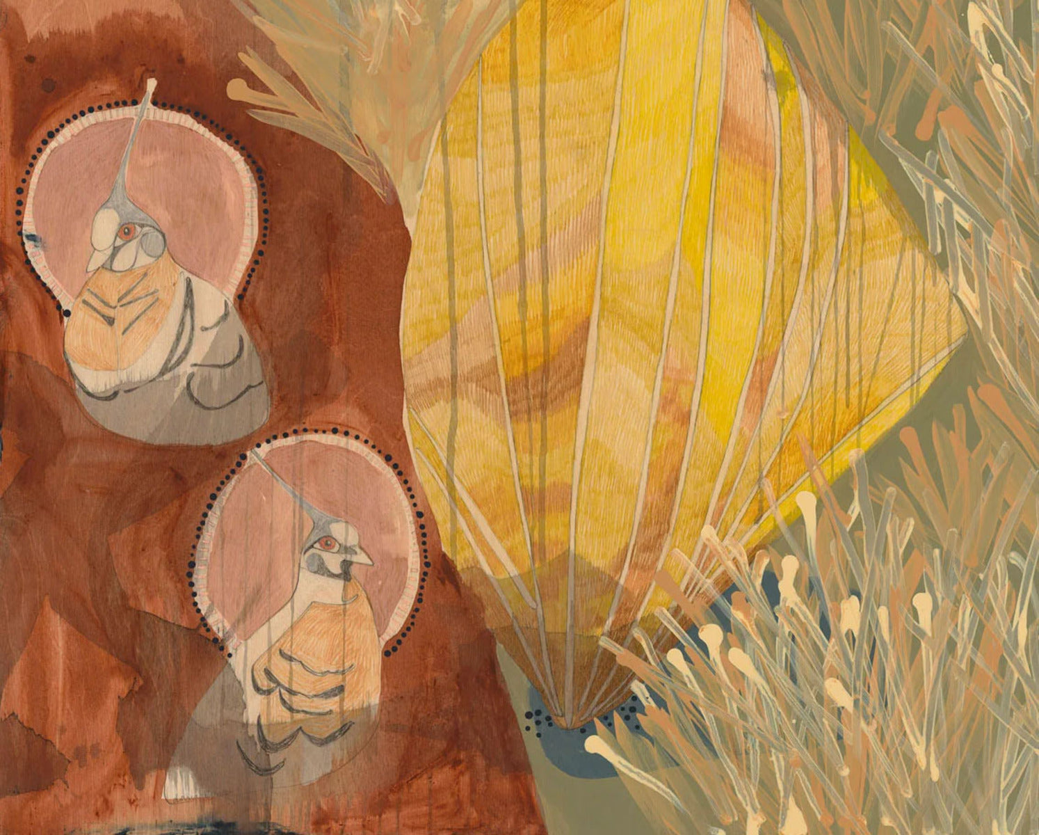 The Light of The Sun, The Rays of The Moon, Crested Pigeons On Bush Sunset Walk Near Kings Canyon