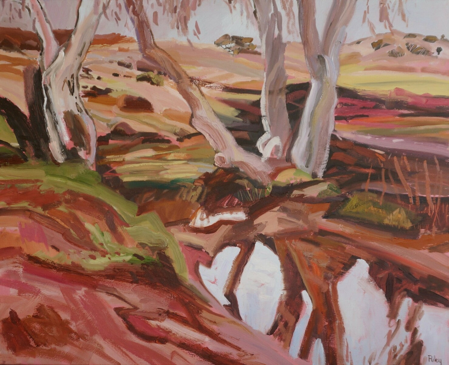 Fowlers Gap, On Reflection