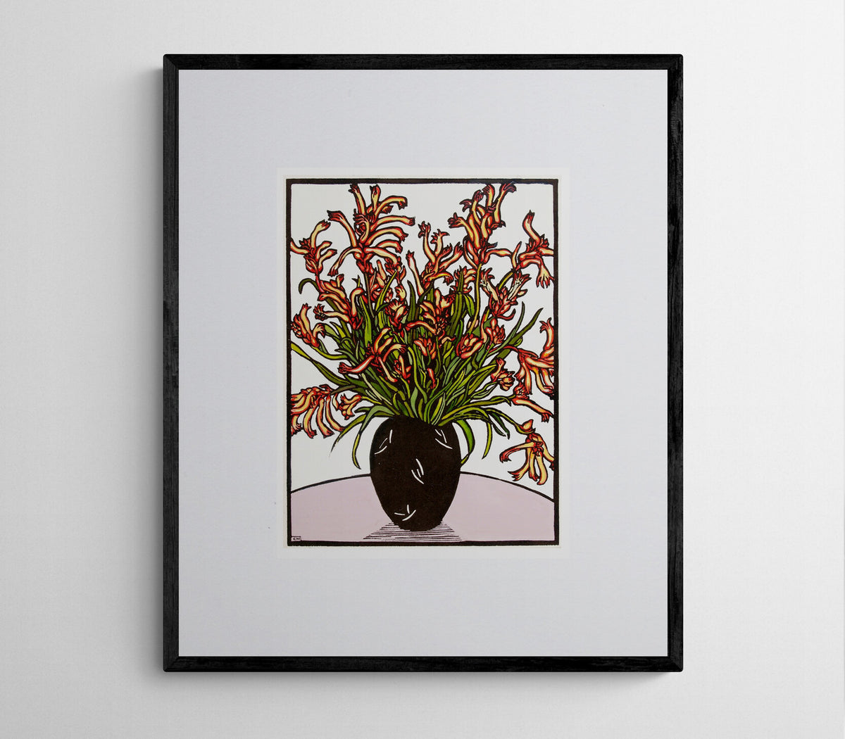 Kangaroo Paws