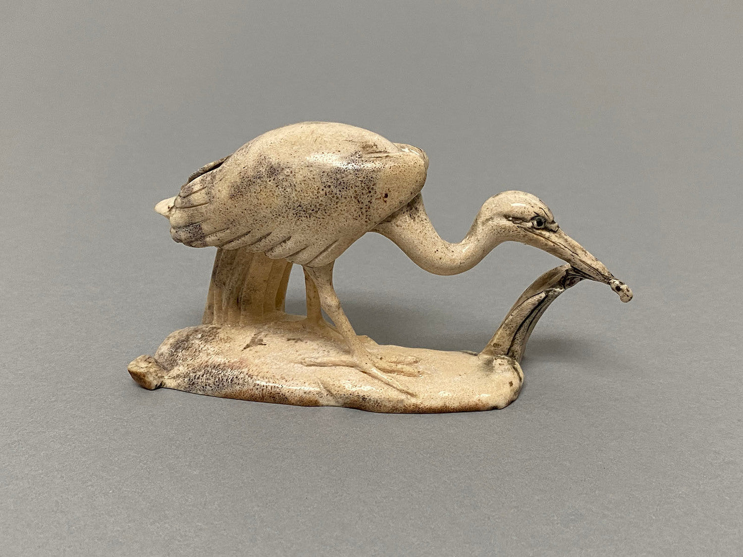 Egret with Octopus and Fish