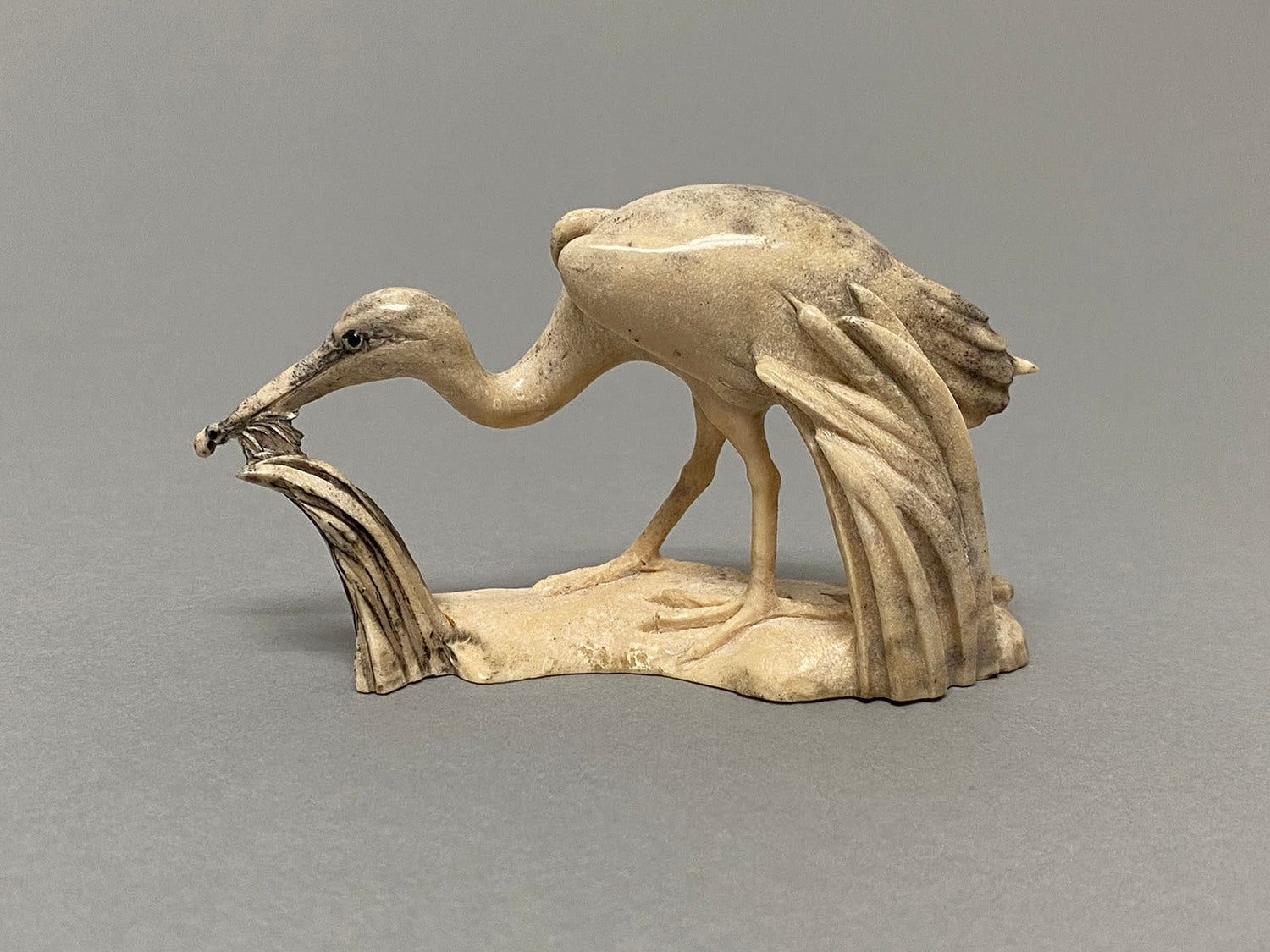 Egret with Octopus and Fish