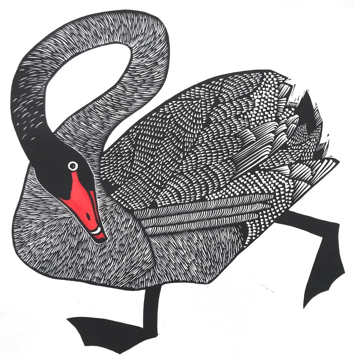 Black Swan