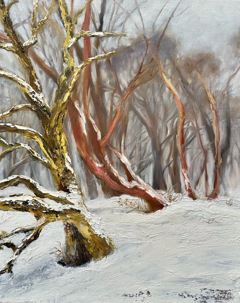 The Silence of Snow