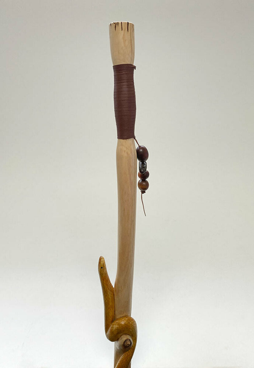 Eastern Brown Snake + Compass