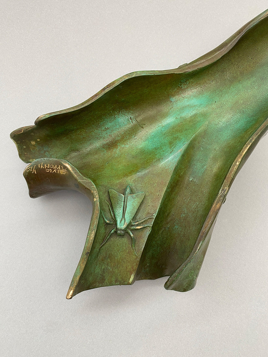 Frog on Bark with Stinkbug and Moth