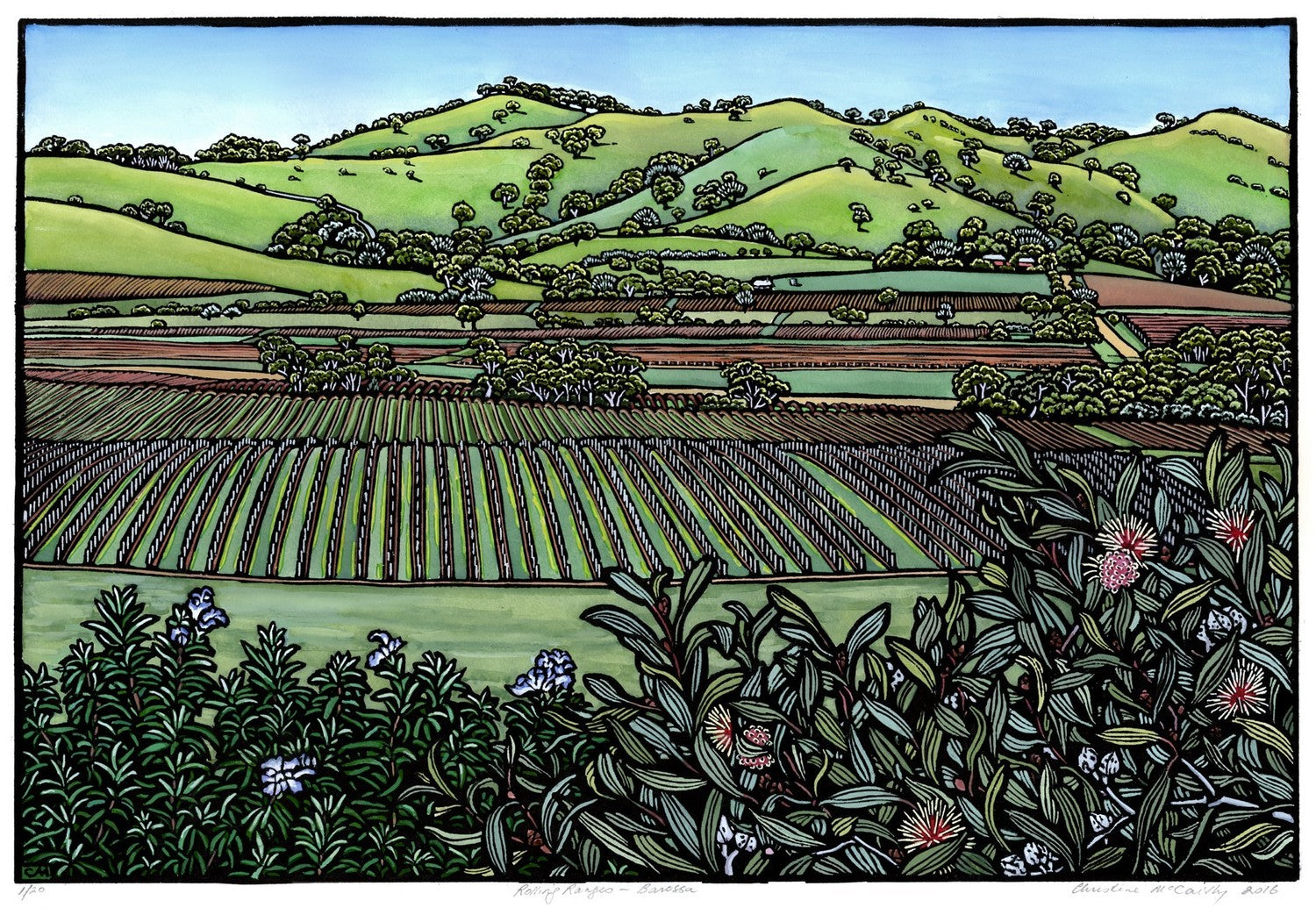 Rolling Ranges - Barossa