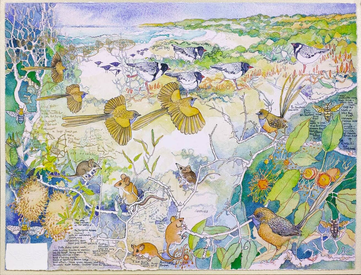 West Bay Wrens