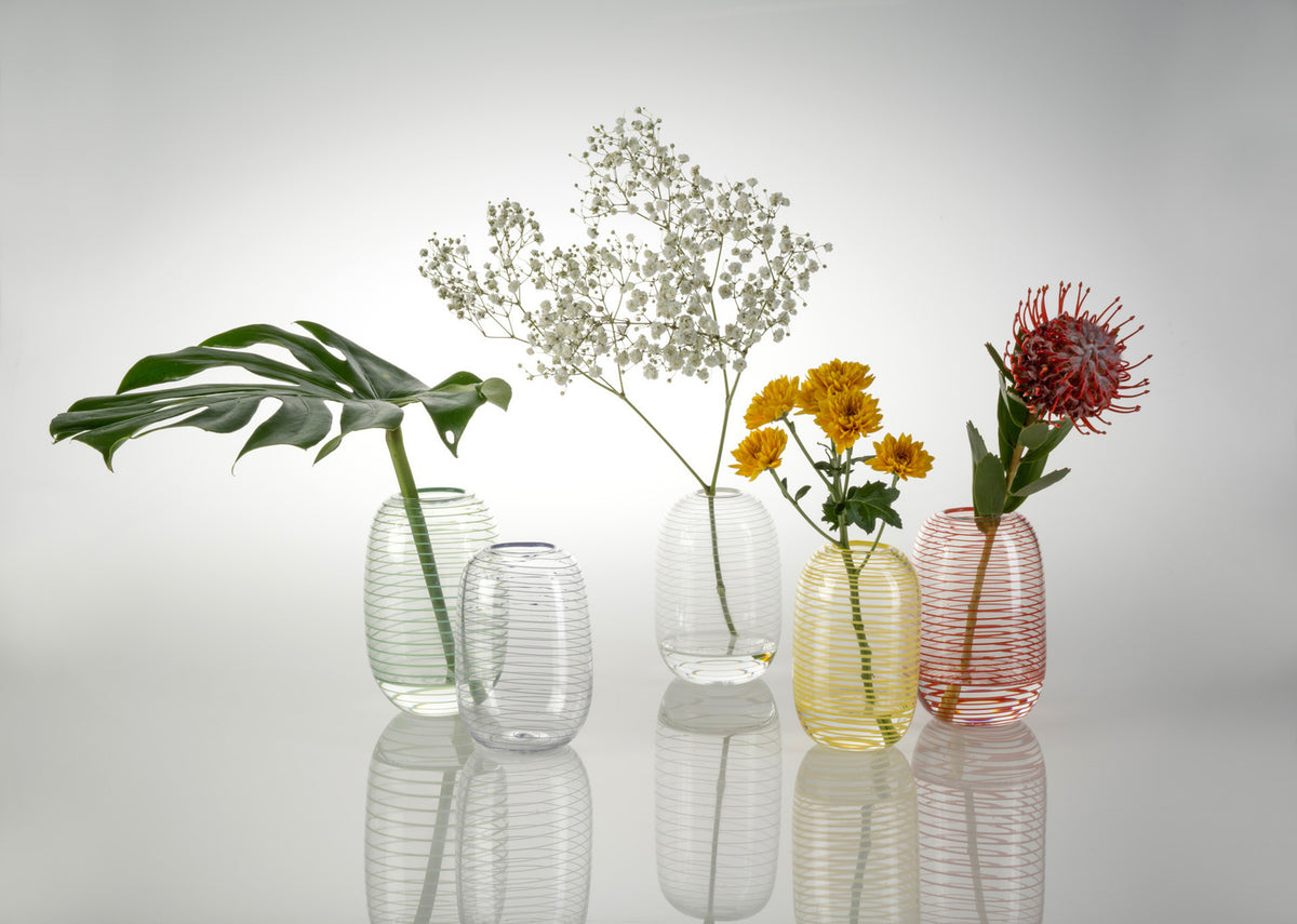 Aussie Front Yard Flora - Banksia Yellow Lines