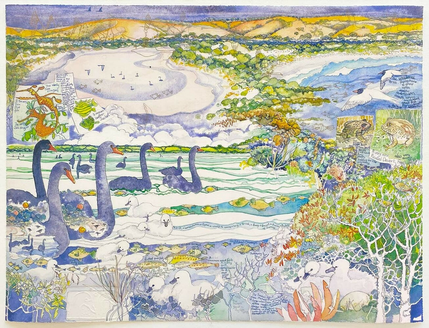 The Swans (at Snellings)