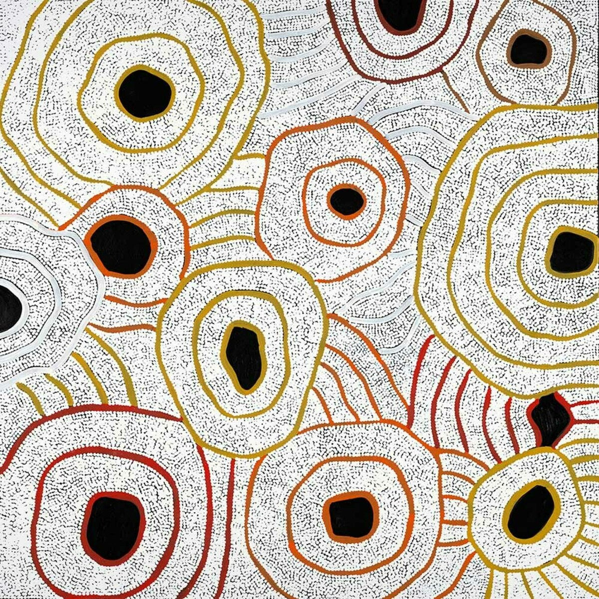 Debra Nangala McDonald Print Collection