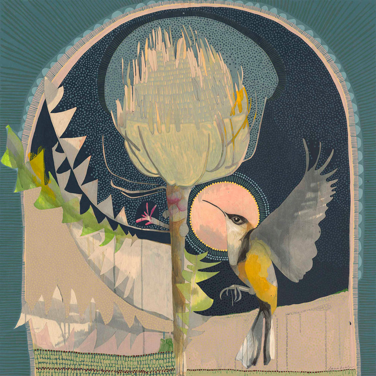 For You a Thousand Times Over, Eastern Spinebill and Banksia