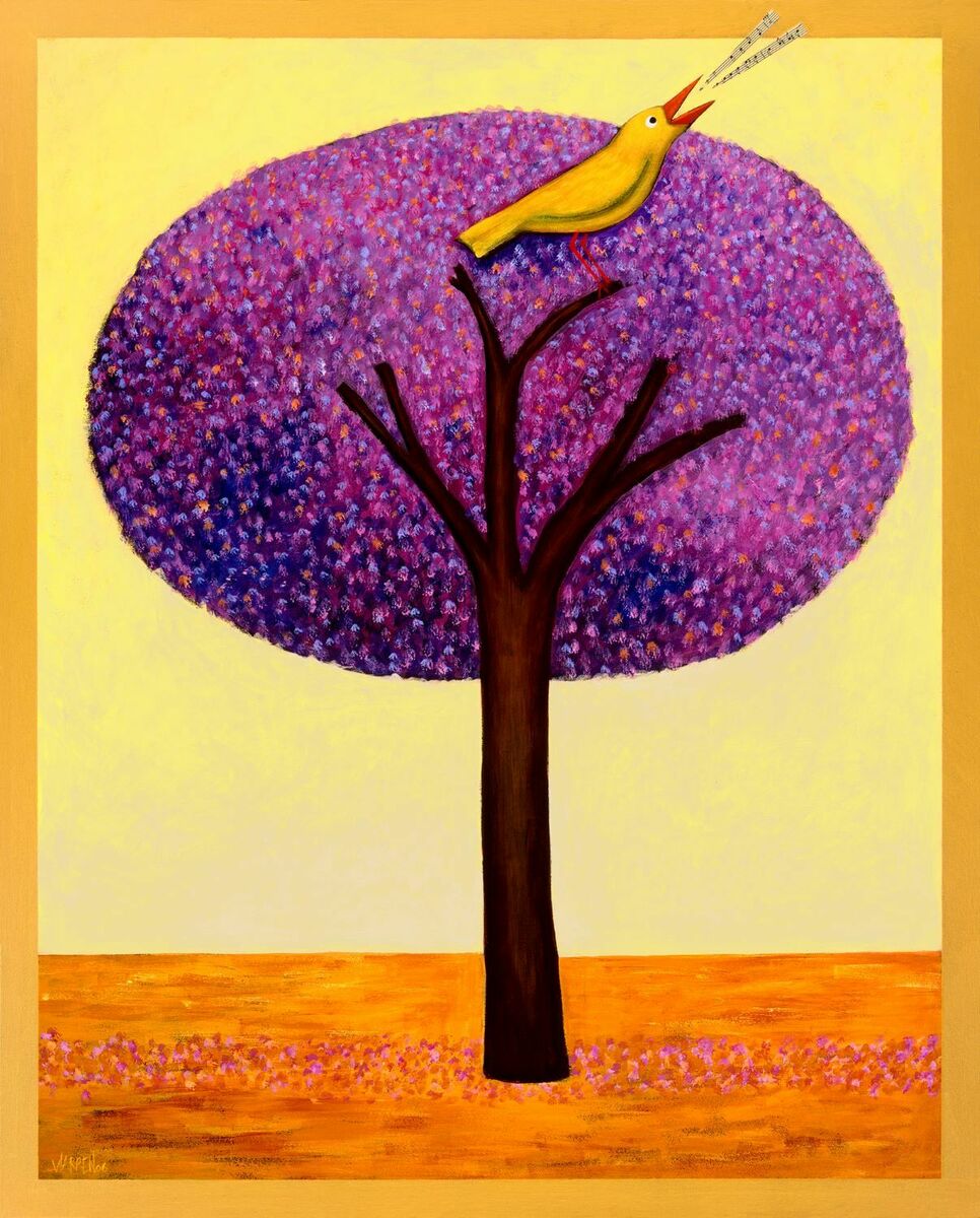 Jacaranda