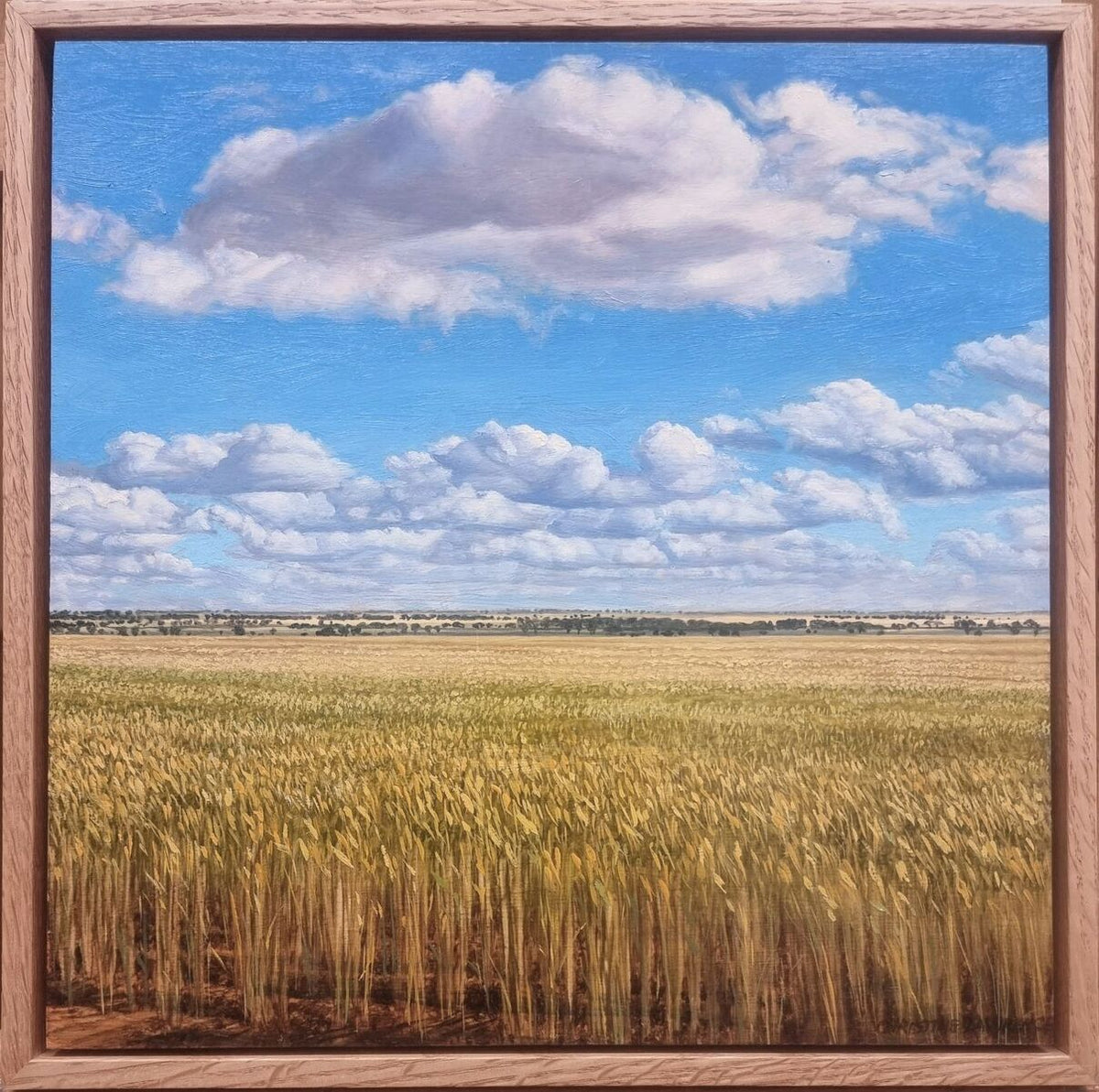 Crops and Clouds #2 Afternoon Clouds