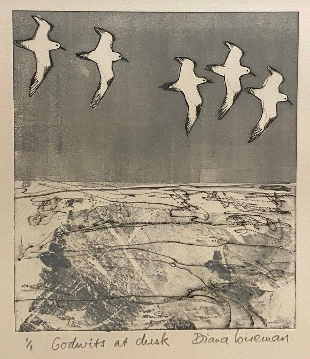 Godwits at Dusk