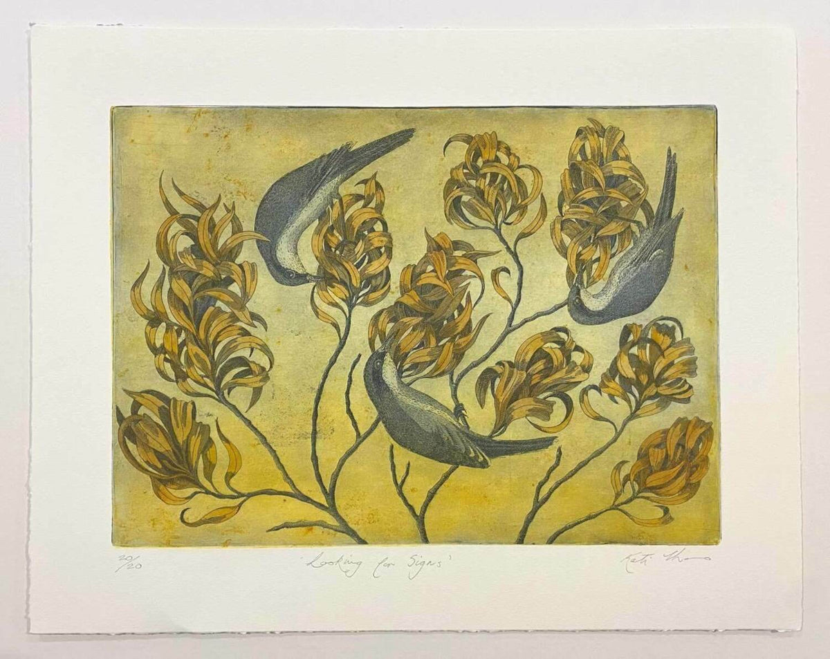 Looking for Signs (unframed)