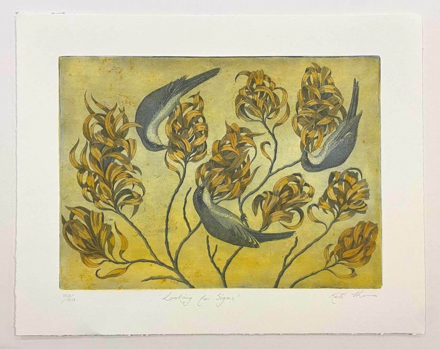 Looking for Signs (unframed)