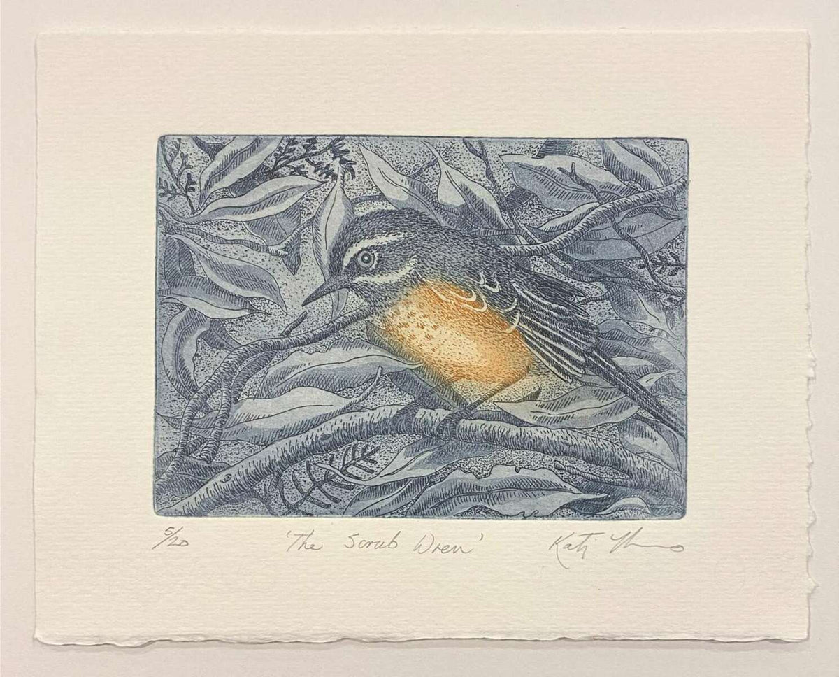 The Scrub Wren (unframed)