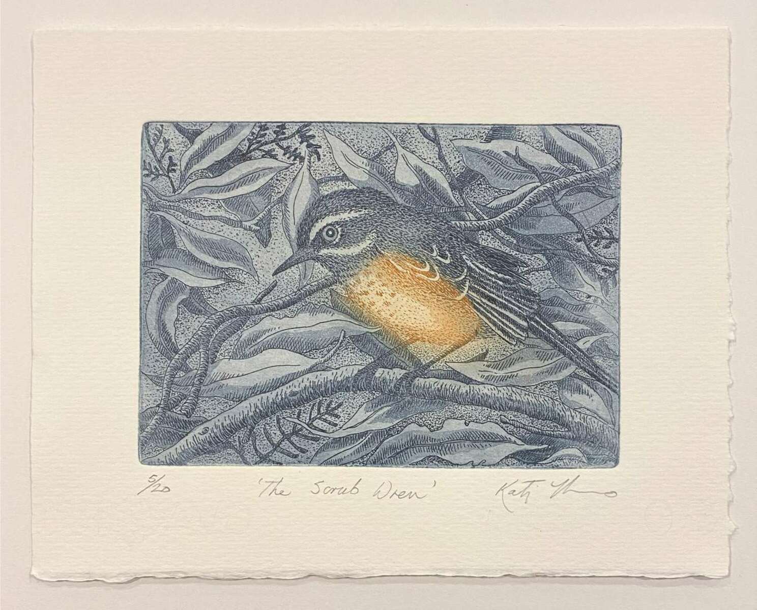 The Scrub Wren (unframed)