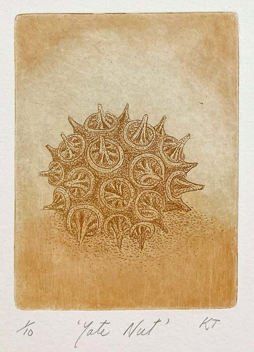 Yate Nut (unframed)