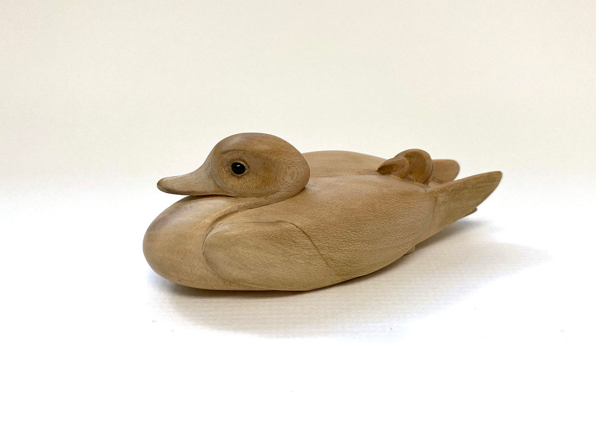 Duck