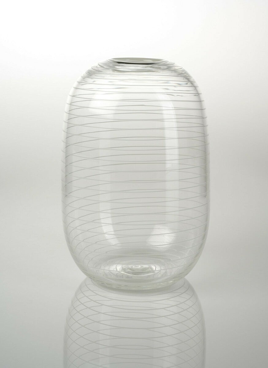 Aussie Front Yard Flora - Daisy White Lines