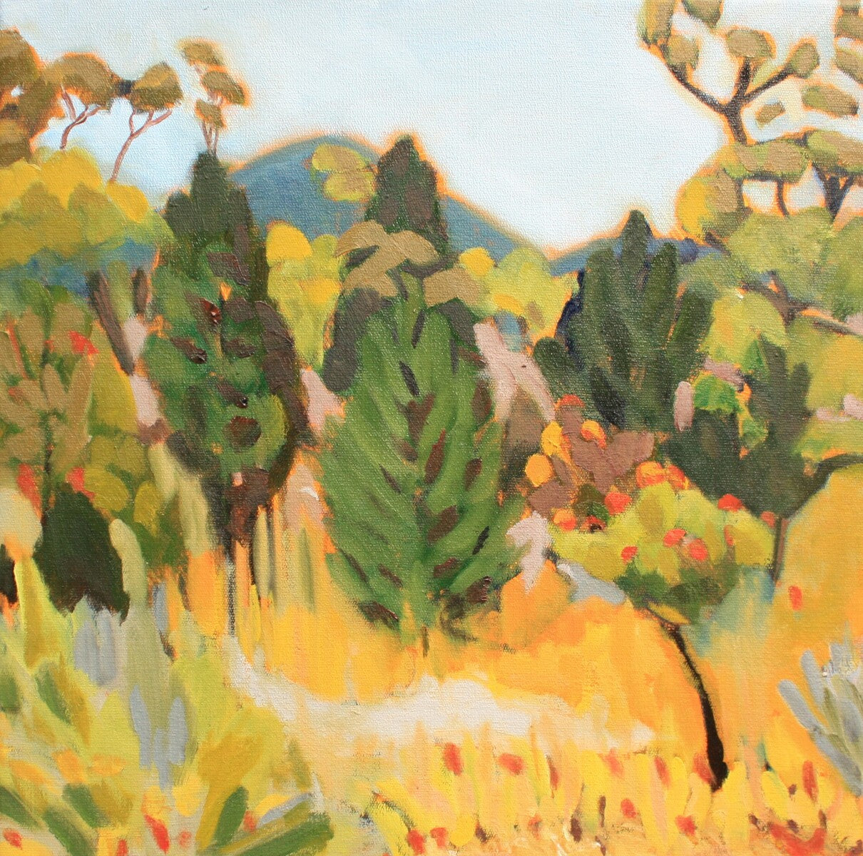 Mount Remarkable