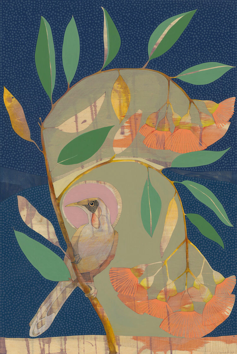 Falling Slowly, Red Wattle Bird and Flowering Eucalyptus