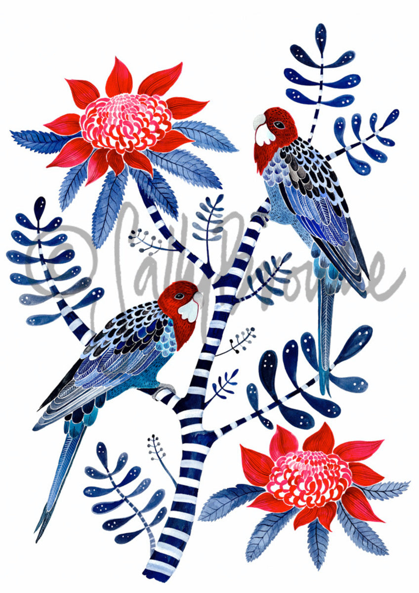 Crimson Rosellas and Waratah