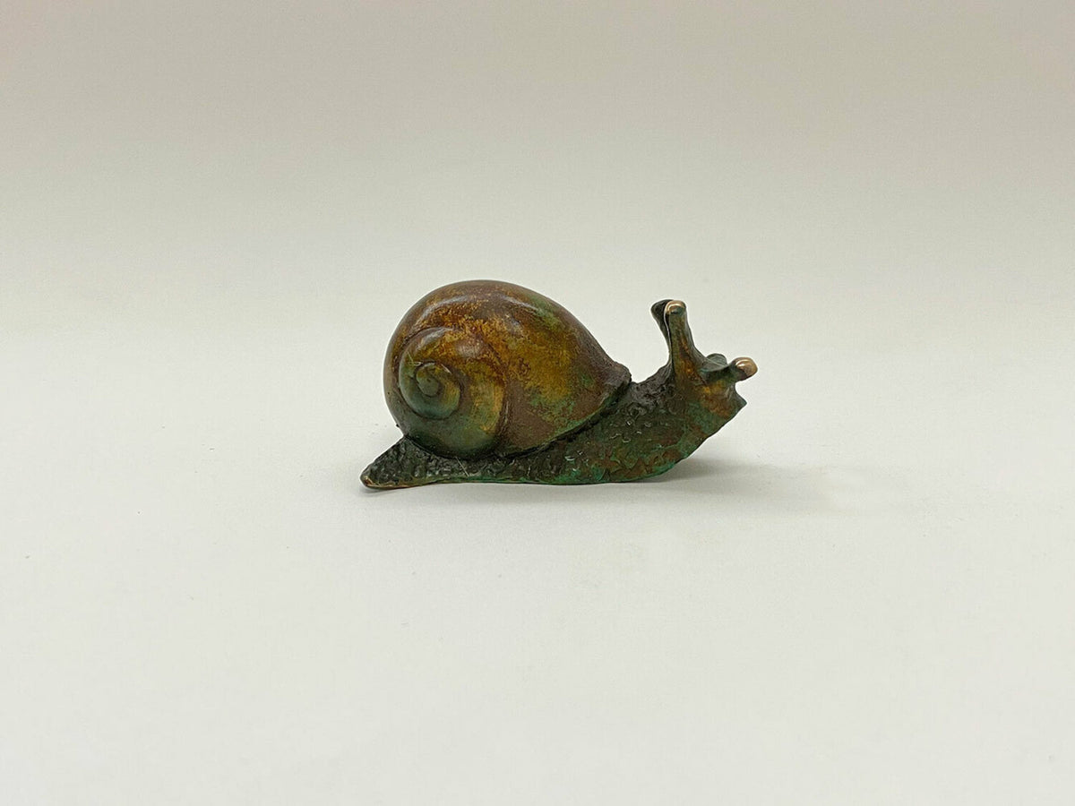 Snail