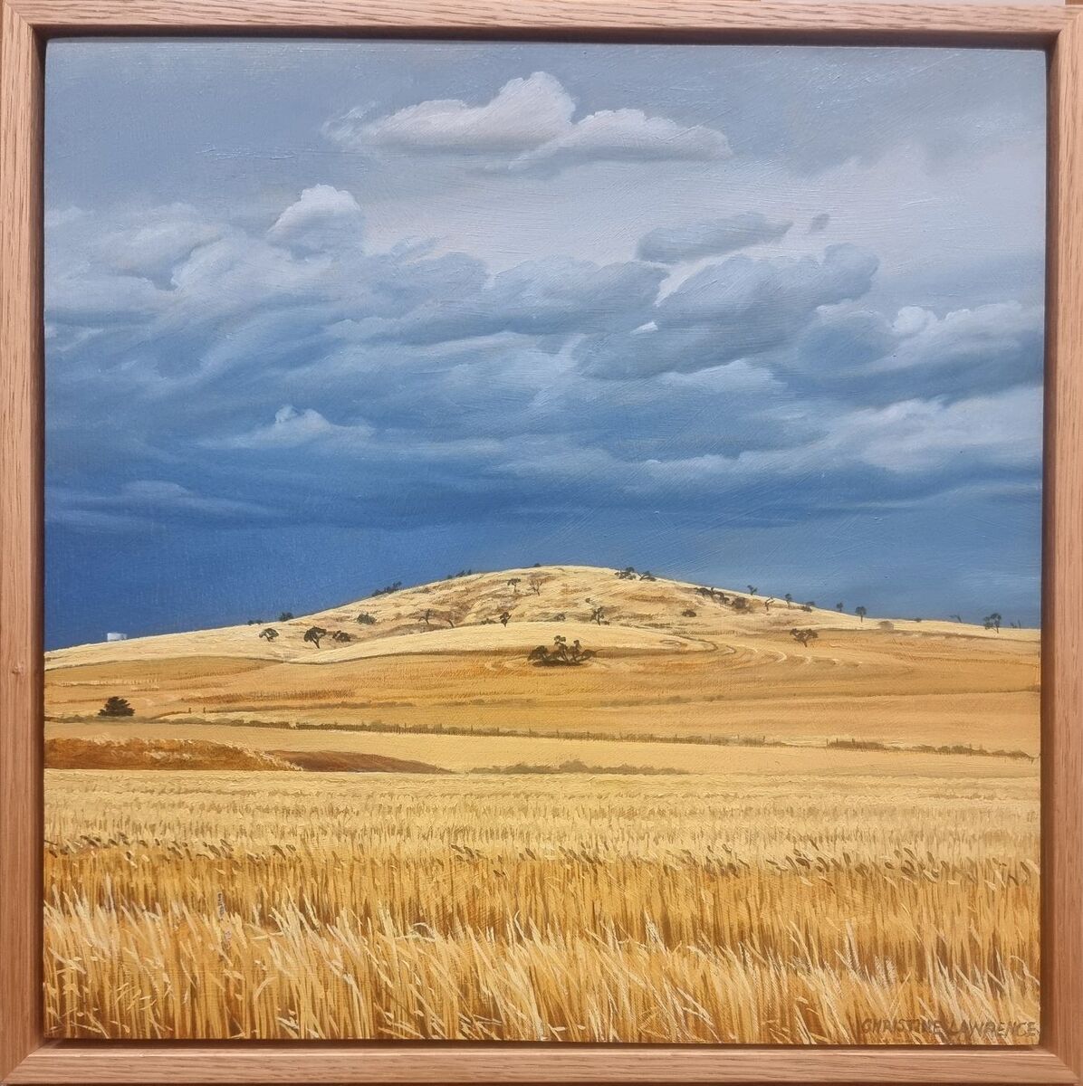 Crops and Clouds #7 Storm Clouds Gathering