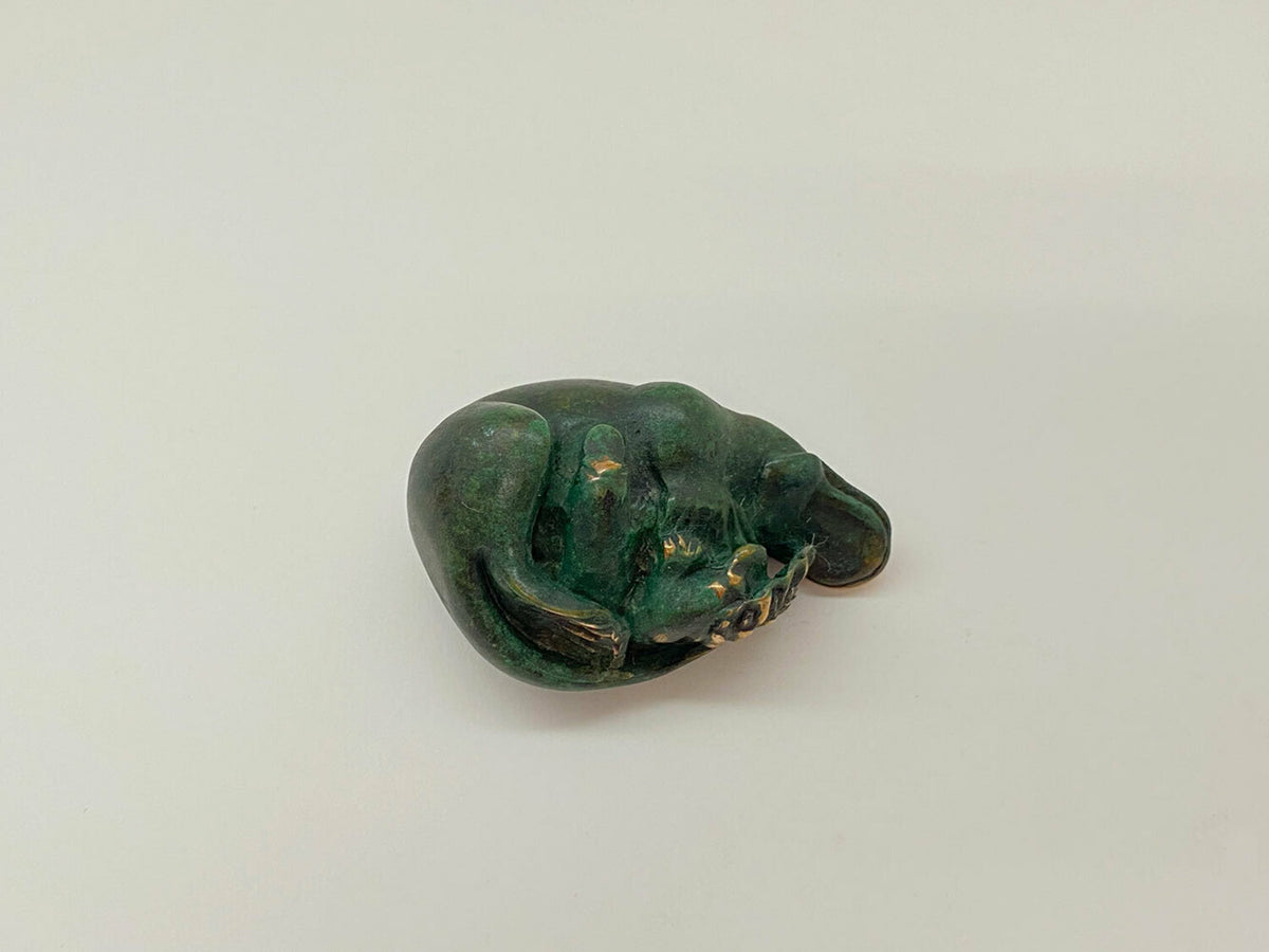 Platypus With Two Young