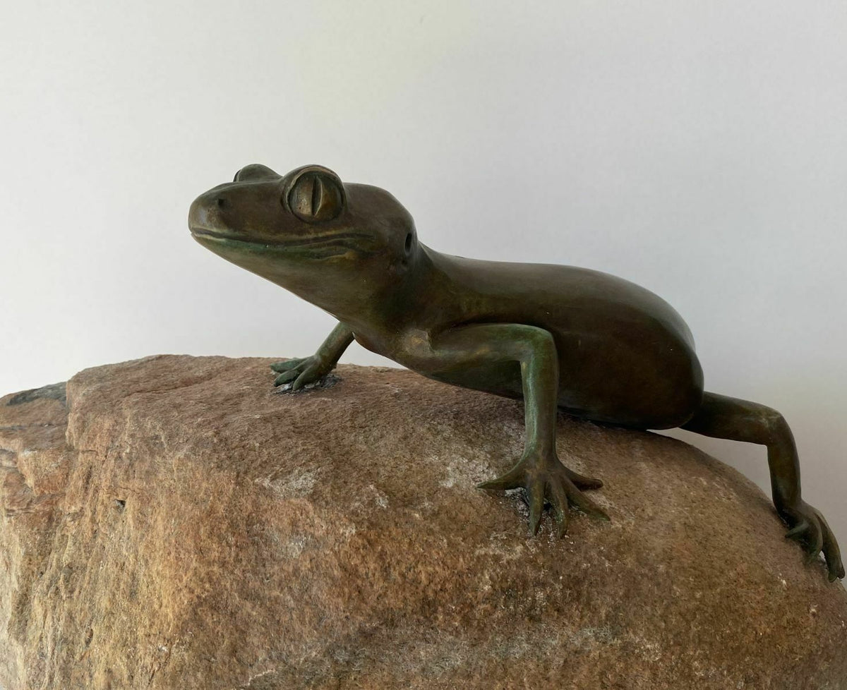 Underwoodisaurus milii, Barking Gecko on Rock
