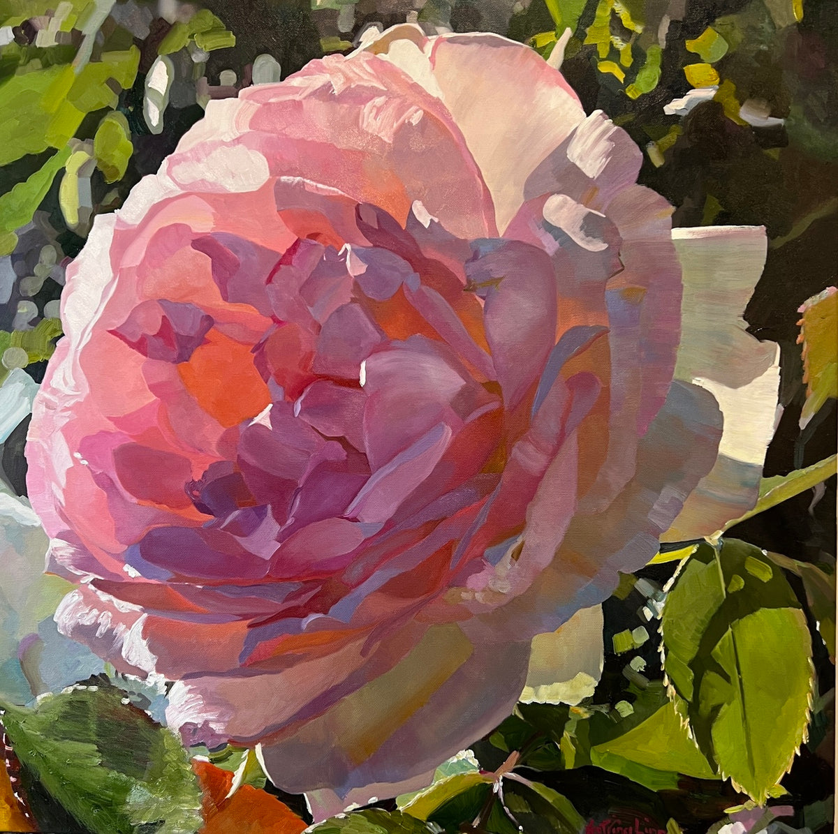 Pierre De Ronsard Glow