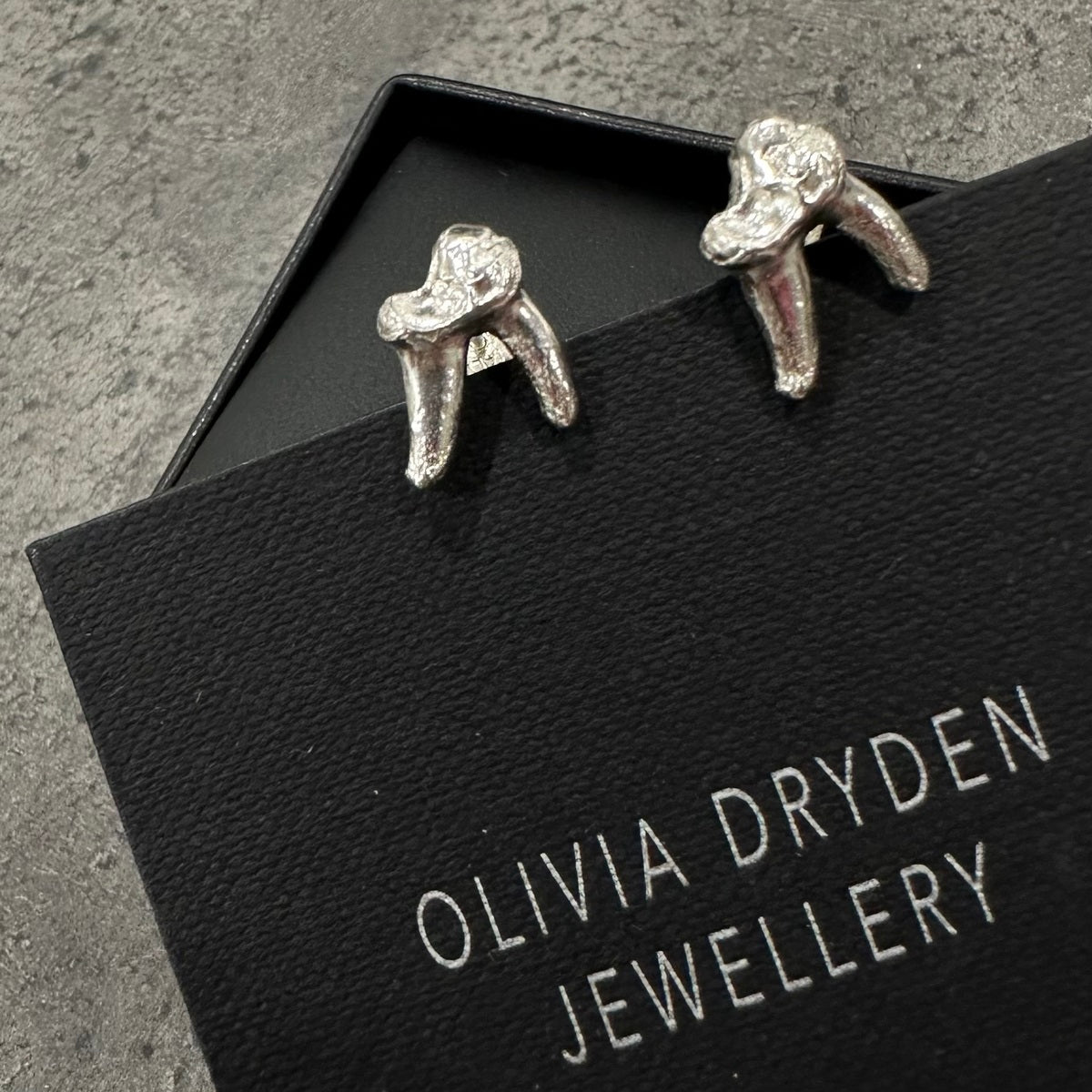 Wild Dogs Tooth Studs