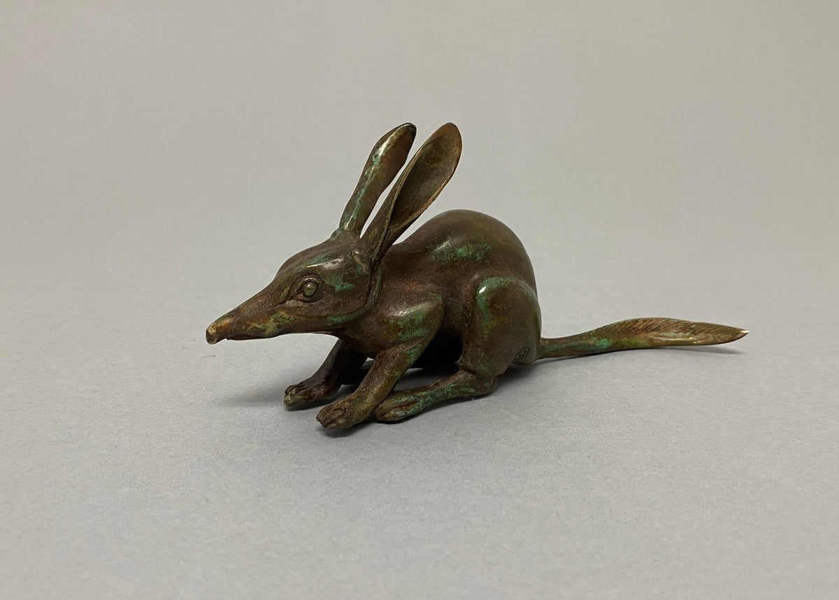 Bilby (medium)
