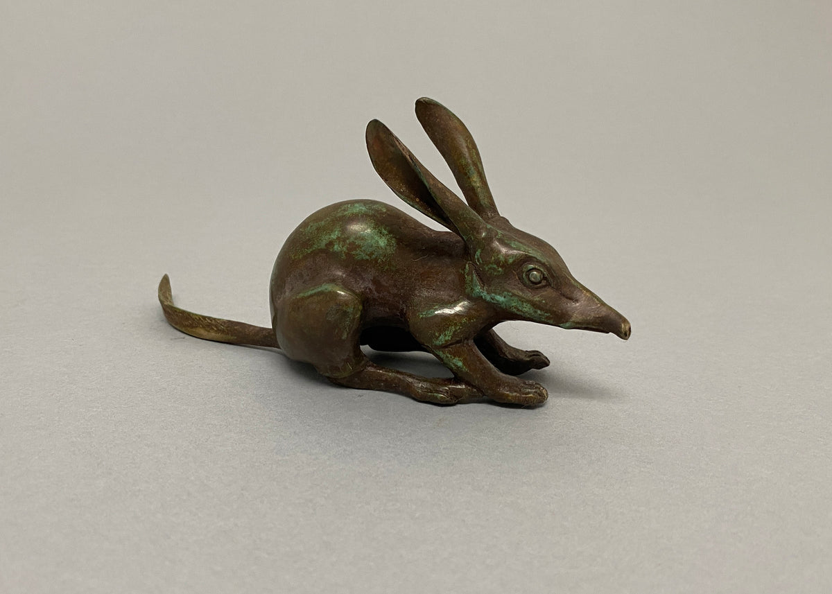 Bilby (medium)