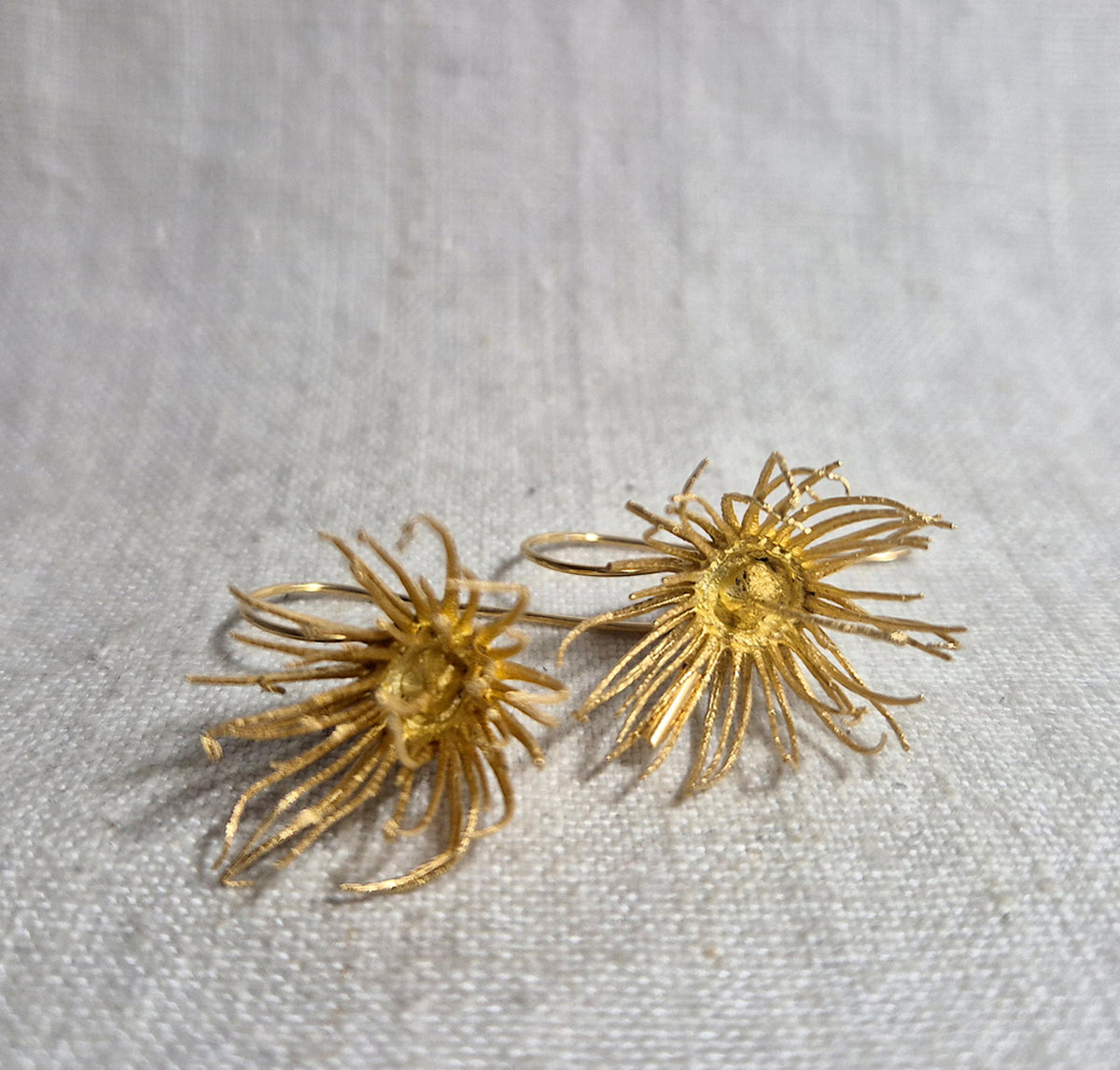 Botanical earrings - eucalyptus flower, gold plated