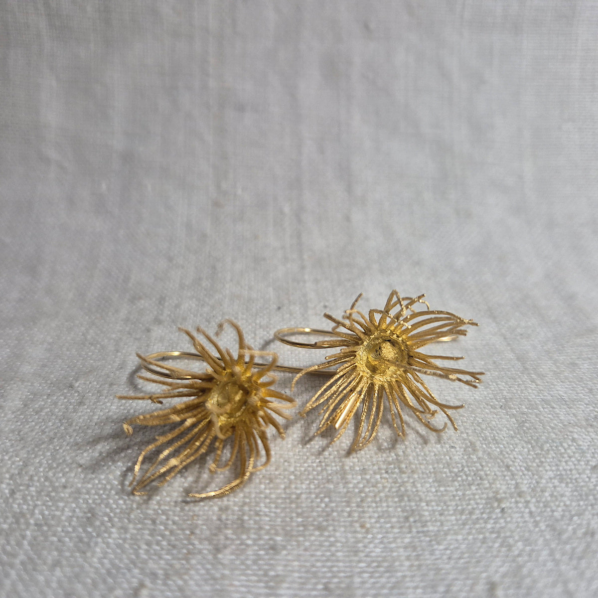 Botanical earrings - eucalyptus flower, gold plated