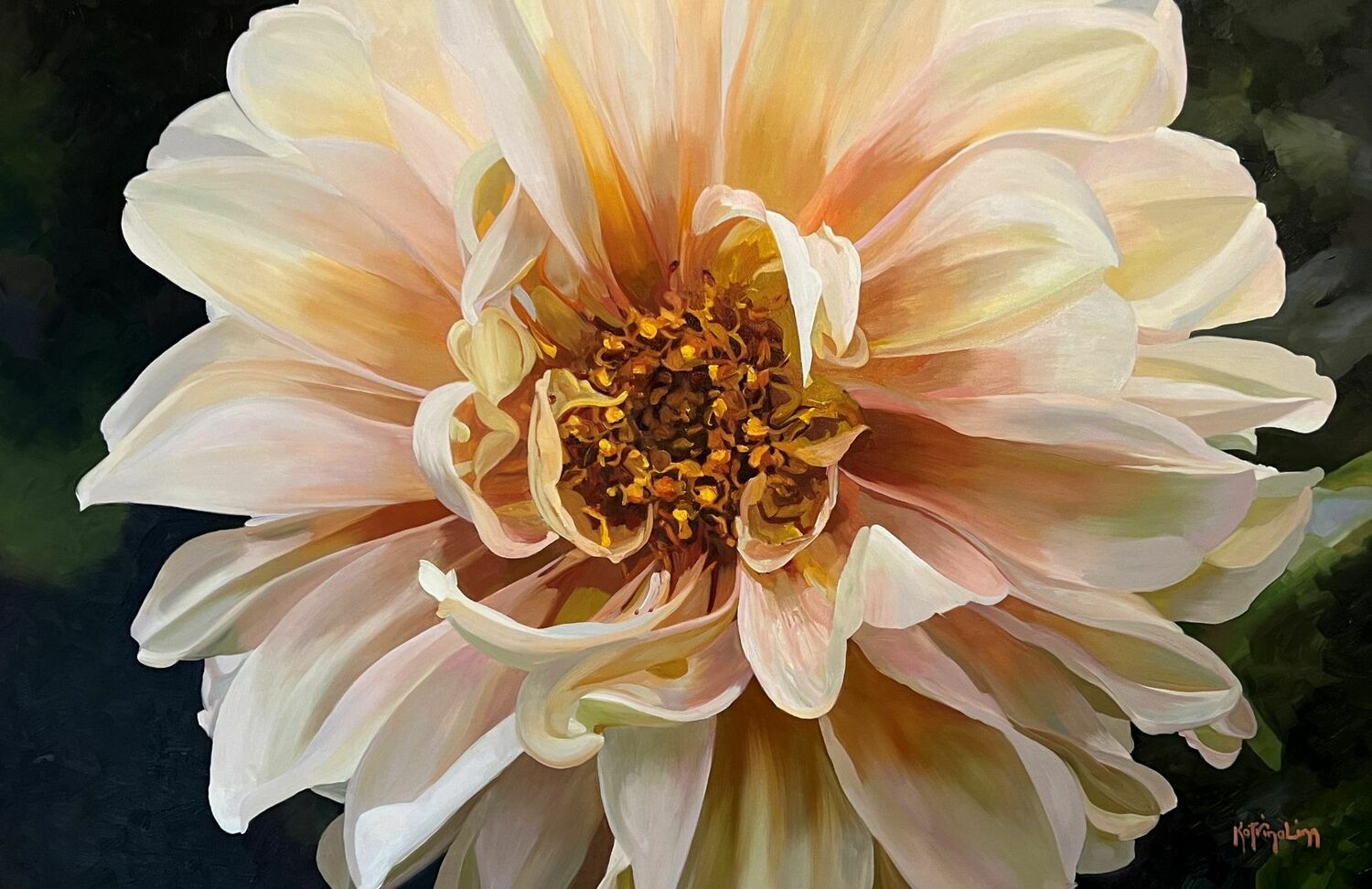 Apricot Dahlia