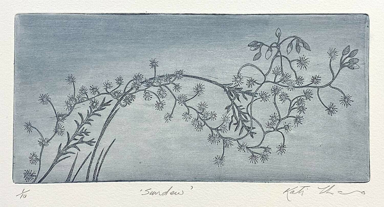 Sundew (unframed)