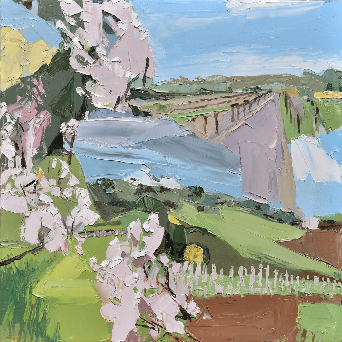 Blossoms and Vines
