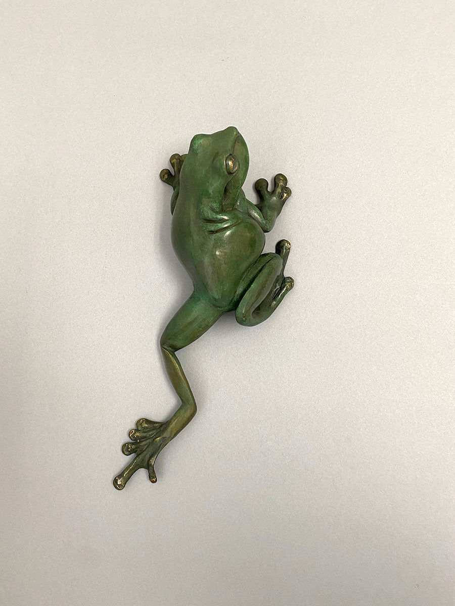 Green Tree Frog, Leg Out