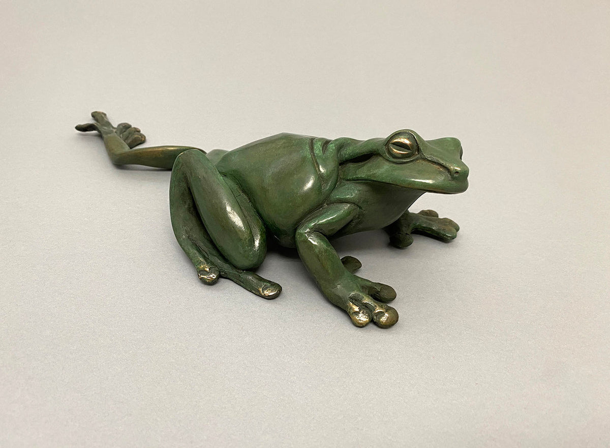 Green Tree Frog, Leg Out