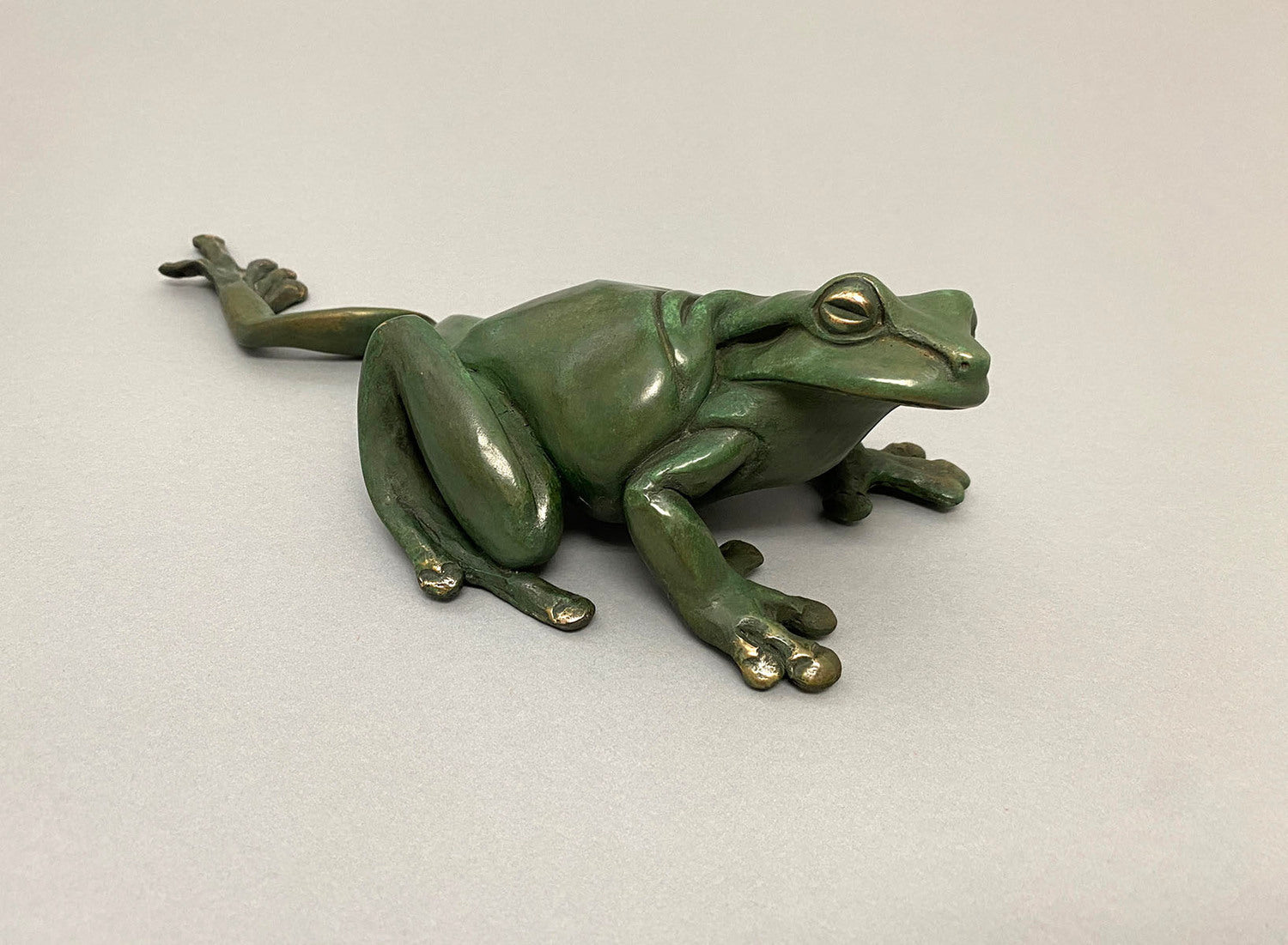 Green Tree Frog, Leg Out