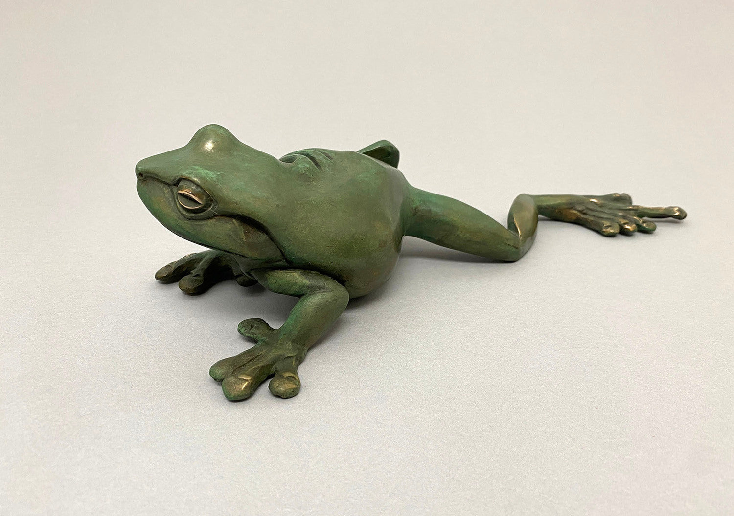 Green Tree Frog, Leg Out