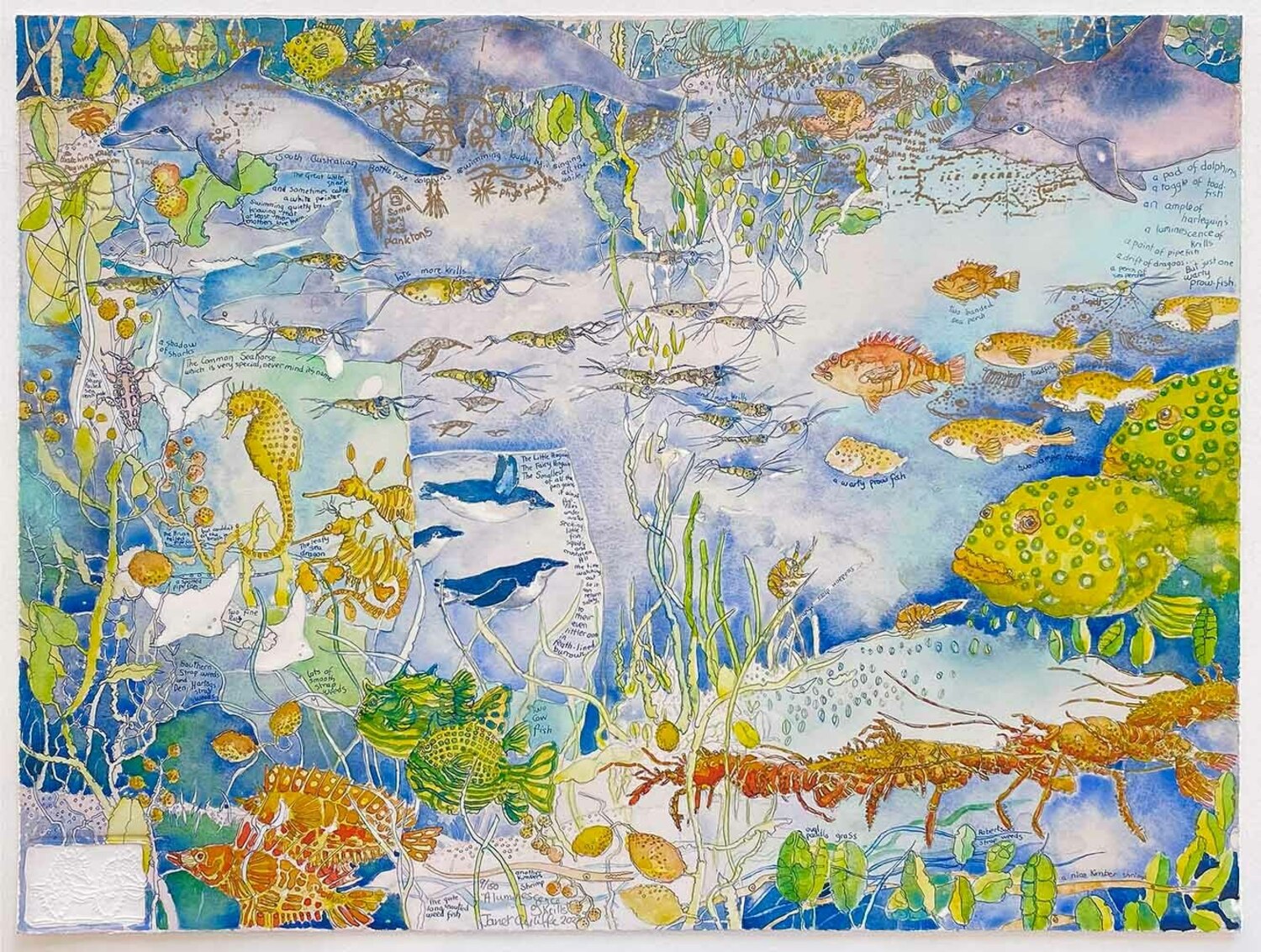 A Luminescence of Krills