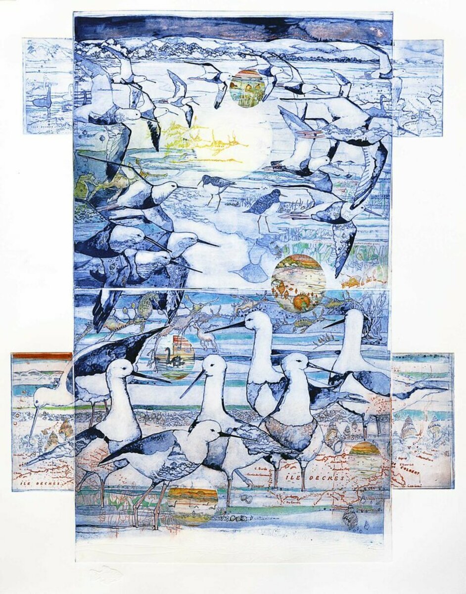 The Banded Stilts (first state)